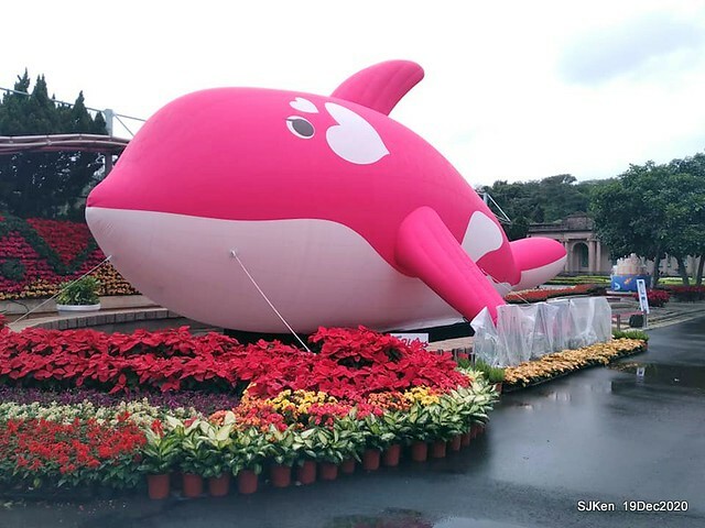 「安平虎鯨家族」(Killer Whale art exhibition) at 「台北自來水園區」(Taipei Water Park, Dec 19, 2020, SJKen