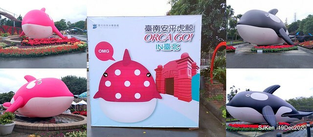 「安平虎鯨家族」(Killer Whale art exhibition) at 「台北自來水園區」(Taipei Water Park, Dec 19, 2020, SJKen