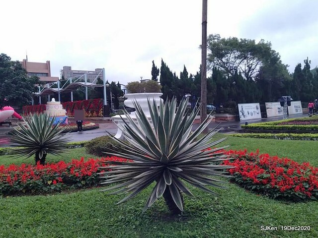 「安平虎鯨家族」(Killer Whale art exhibition) at 「台北自來水園區」(Taipei Water Park, Dec 19, 2020, SJKen