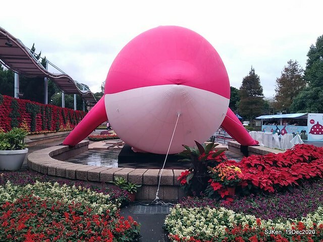 「安平虎鯨家族」(Killer Whale art exhibition) at 「台北自來水園區」(Taipei Water Park, Dec 19, 2020, SJKen