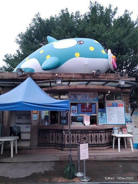 「安平虎鯨家族」(Killer Whale art exhibition) at 「台北自來水園區」(Taipei Water Park, Dec 19, 2020, SJKen