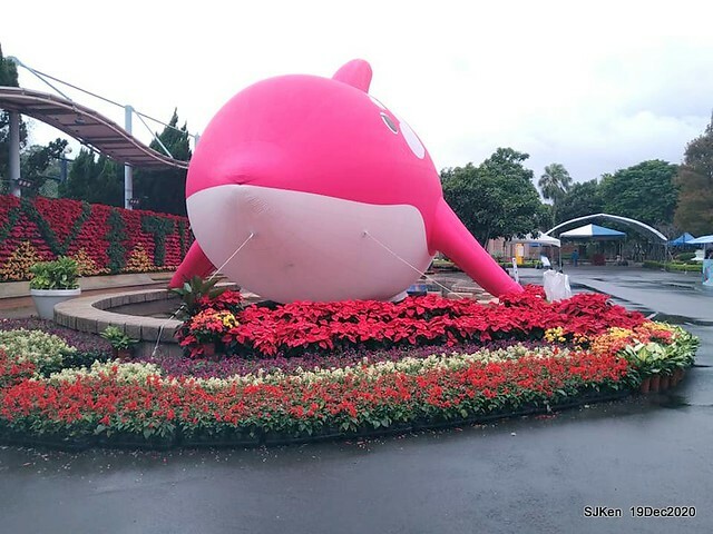 「安平虎鯨家族」(Killer Whale art exhibition) at 「台北自來水園區」(Taipei Water Park, Dec 19, 2020, SJKen