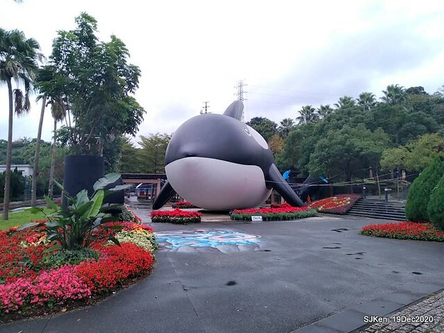 「安平虎鯨家族」(Killer Whale art exhibition) at 「台北自來水園區」(Taipei Water Park, Dec 19, 2020, SJKen