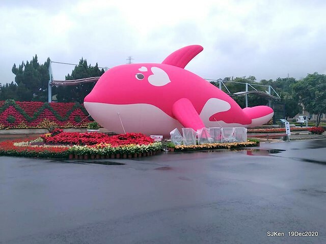 「安平虎鯨家族」(Killer Whale art exhibition) at 「台北自來水園區」(Taipei Water Park, Dec 19, 2020, SJKen