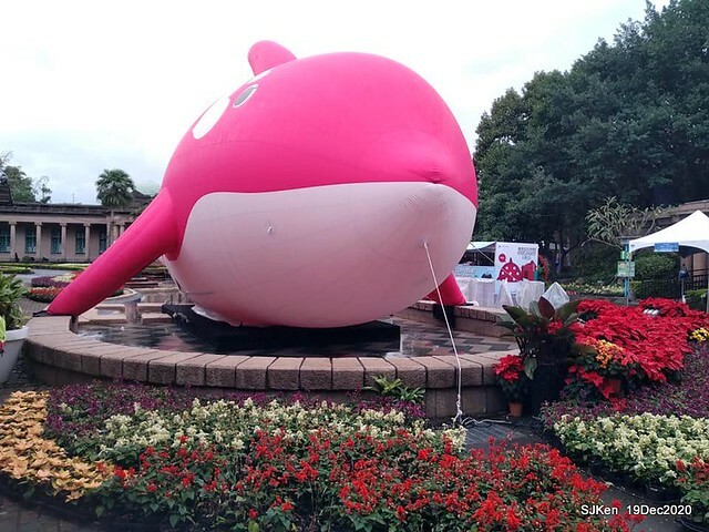 「安平虎鯨家族」(Killer Whale art exhibition) at 「台北自來水園區」(Taipei Water Park, Dec 19, 2020, SJKen
