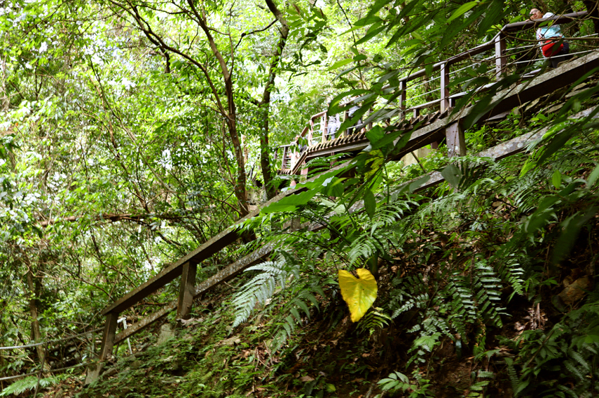 新北烏來｜內洞國家森林遊樂區｜水墨畫般內洞瀑布群
