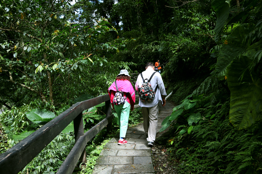 新北烏來｜內洞國家森林遊樂區｜水墨畫般內洞瀑布群