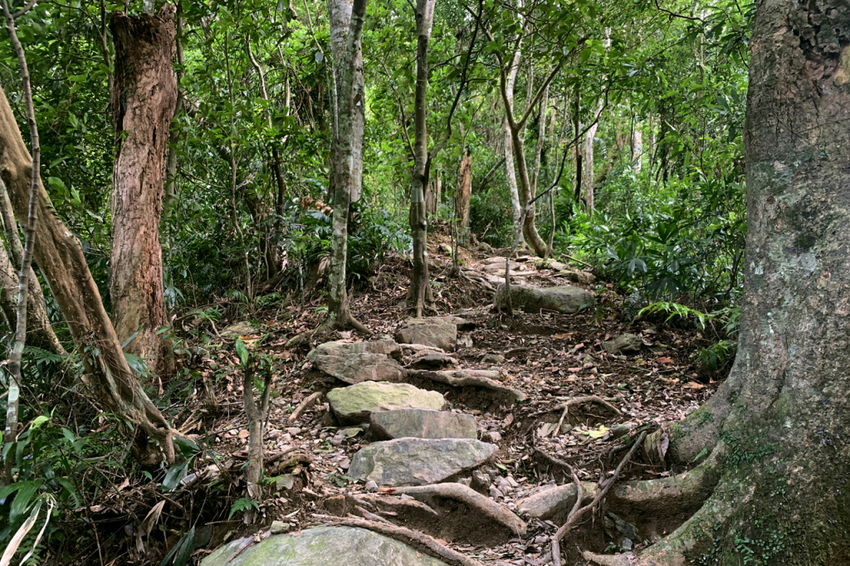 新北烏來｜內洞國家森林遊樂區｜水墨畫般內洞瀑布群