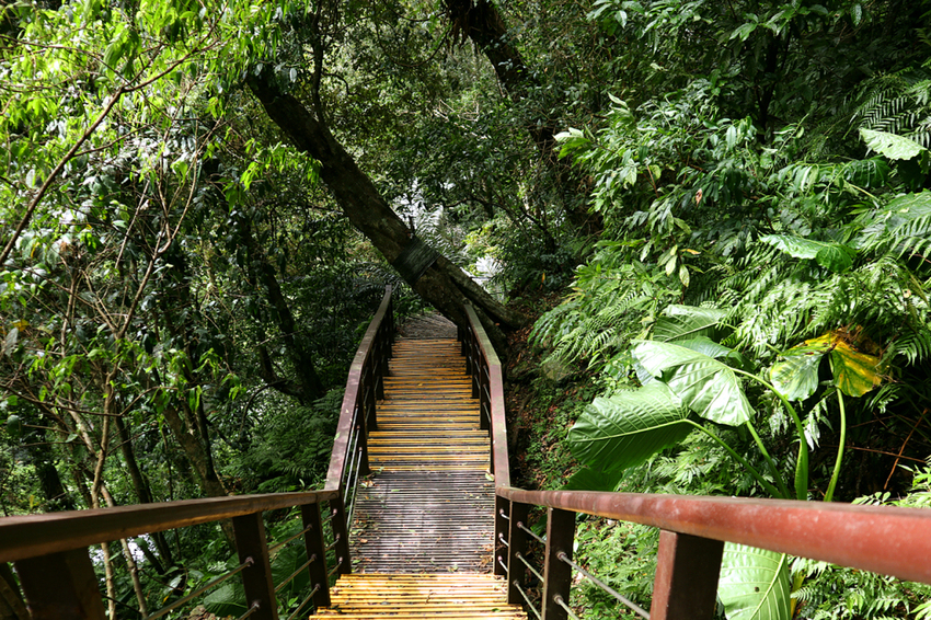 新北烏來｜內洞國家森林遊樂區｜水墨畫般內洞瀑布群