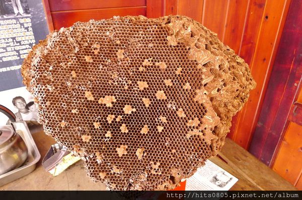 北埔登富茶坊(原進興)：北埔-懷舊的客家風情!登富茶坊