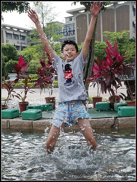 IMG_DSC09477 IMG_DSC09477