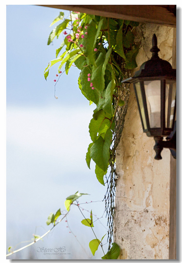 IMG_1109.jpg IMG_1109.jpg