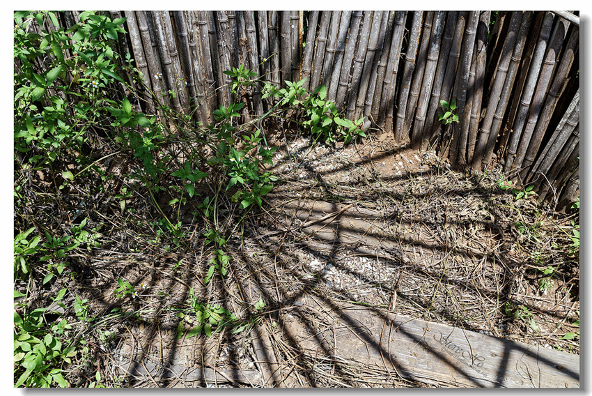 IMG_0461.jpg IMG_0461.jpg