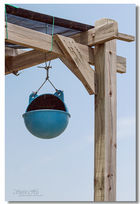 IMG_1149.jpg IMG_1149.jpg