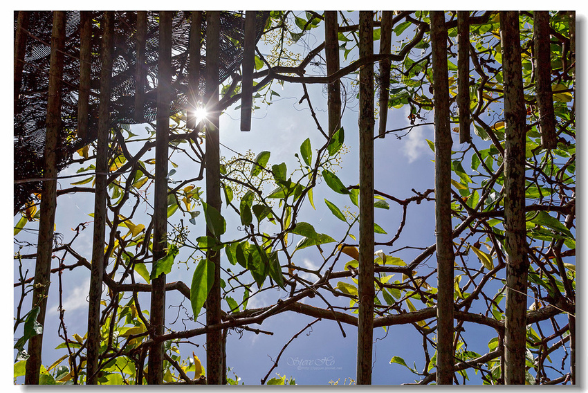 IMG_0433.jpg IMG_0433.jpg