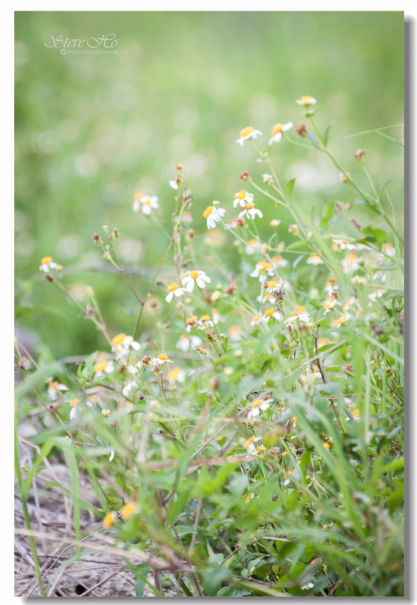 IMG_1118.jpg IMG_1118.jpg