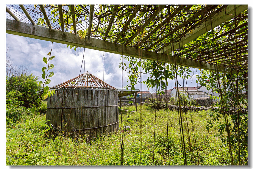 IMG_0442.jpg IMG_0442.jpg