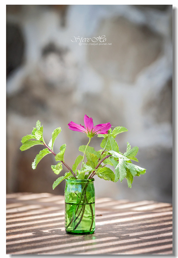 IMG_1106.jpg IMG_1106.jpg