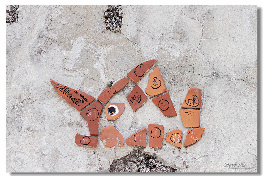 IMG_1153.jpg IMG_1153.jpg