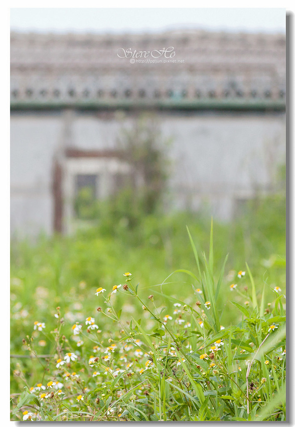 IMG_1117.jpg IMG_1117.jpg