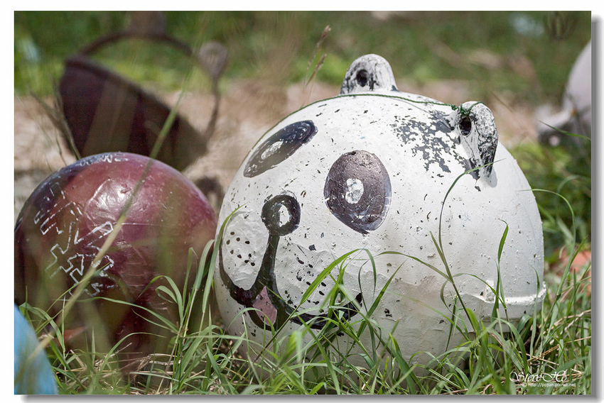 IMG_1146.jpg IMG_1146.jpg