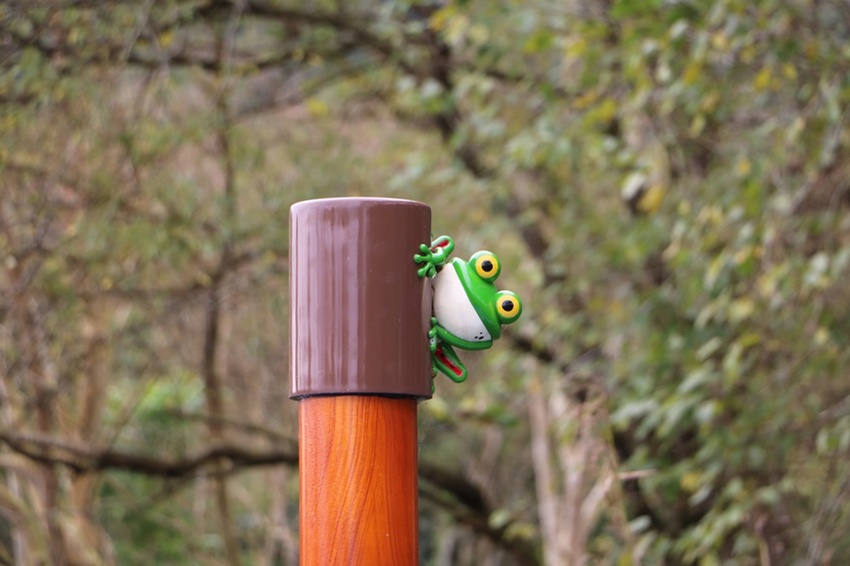 花蓮光復。馬太鞍濕地生態園區 馬太鞍欣綠農園，濕地導覽、傳統歌舞 編織體驗、阿美族巴拉告、特色風味餐、阿美族石頭火鍋