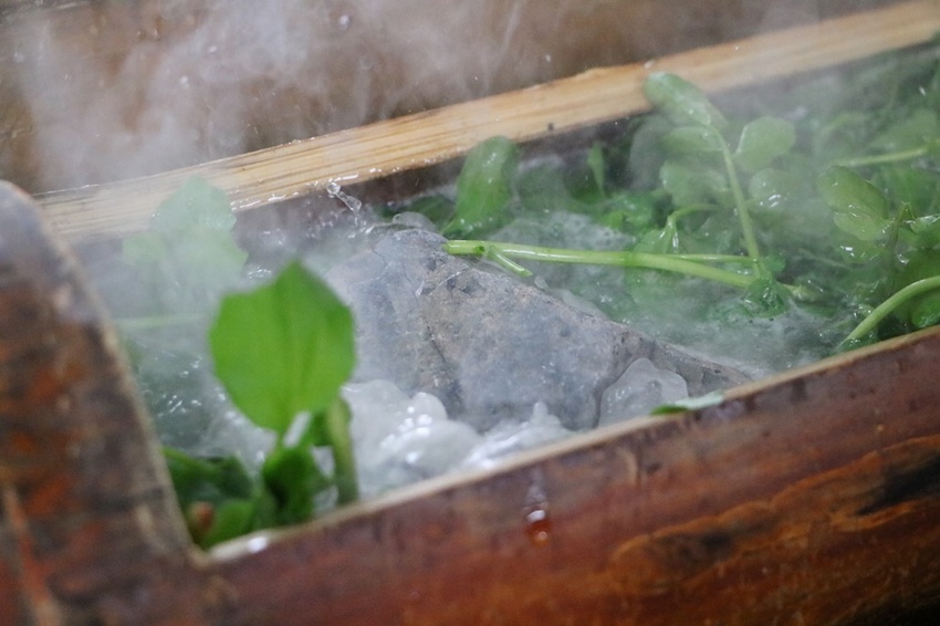 花蓮光復。馬太鞍濕地生態園區 馬太鞍欣綠農園，濕地導覽、傳統歌舞 編織體驗、阿美族巴拉告、特色風味餐、阿美族石頭火鍋