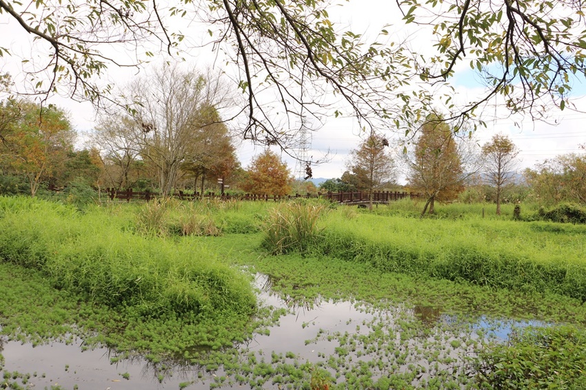 花蓮光復。馬太鞍濕地生態園區 馬太鞍欣綠農園，濕地導覽、傳統歌舞 編織體驗、阿美族巴拉告、特色風味餐、阿美族石頭火鍋