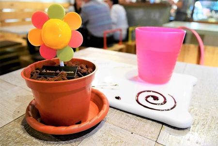 【台北圓山站 | 甜點】讓可愛的小花盆栽提拉米蘇帶給你好心情 ♪ 品台灣手作甜品 Is Taiwan Is Chocolate