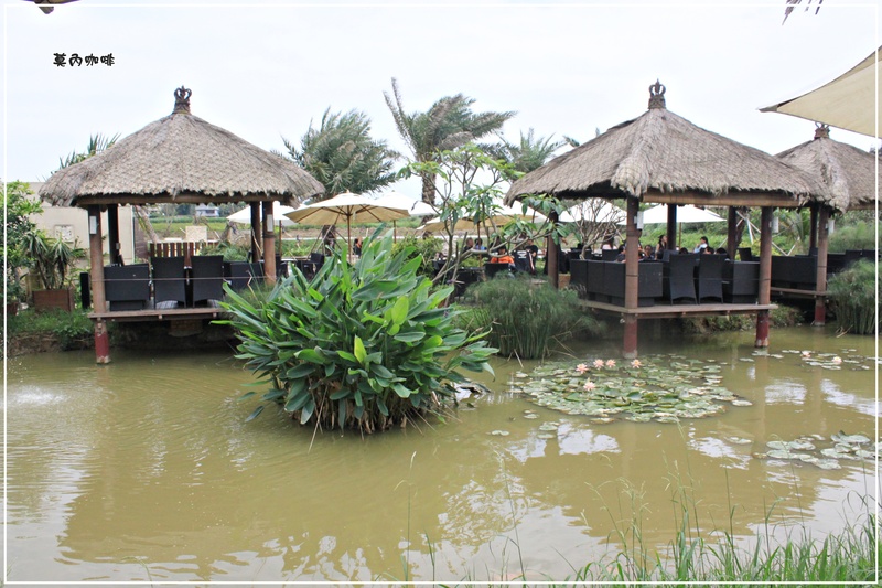 ＊渡假南洋風－莫內咖啡