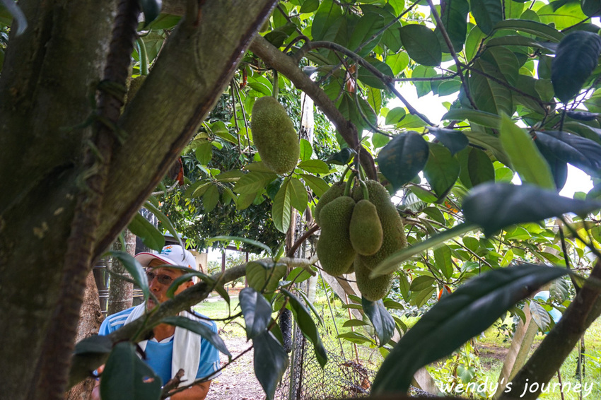 花蓮瑞穗｜充滿人情味的「歸園田居」民宿，體驗清幽的田園生活