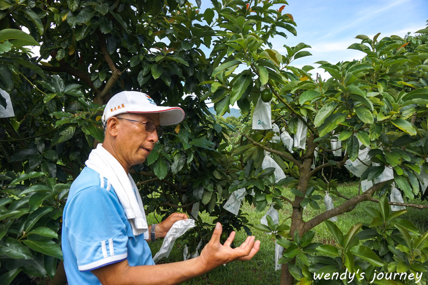 花蓮瑞穗｜充滿人情味的「歸園田居」民宿，體驗清幽的田園生活
