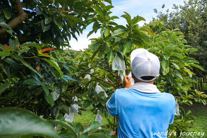 花蓮瑞穗｜充滿人情味的「歸園田居」民宿，體驗清幽的田園生活