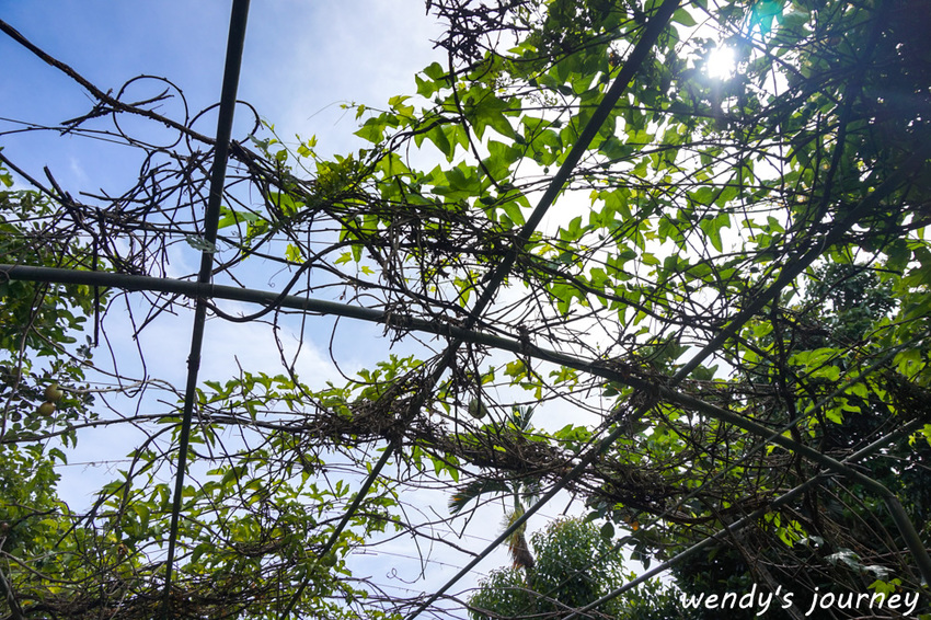 花蓮瑞穗｜充滿人情味的「歸園田居」民宿，體驗清幽的田園生活
