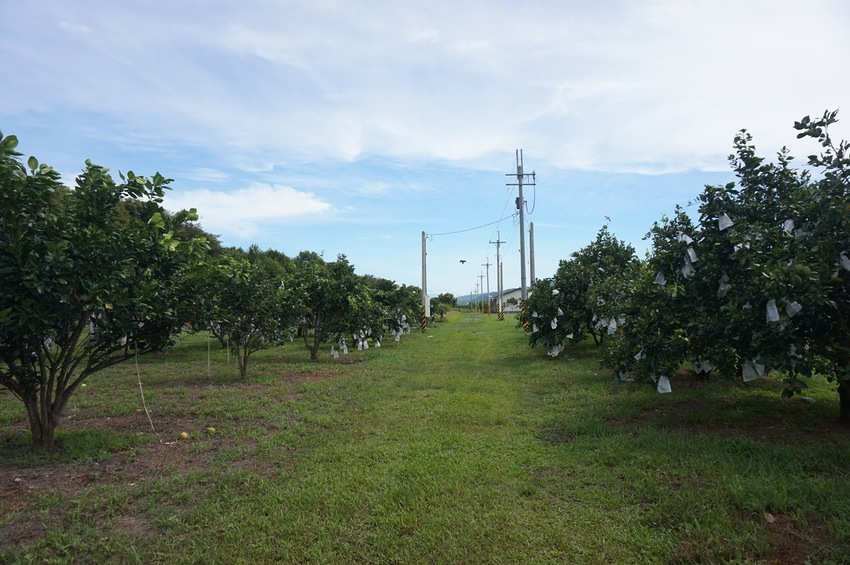 花蓮瑞穗｜充滿人情味的「歸園田居」民宿，體驗清幽的田園生活