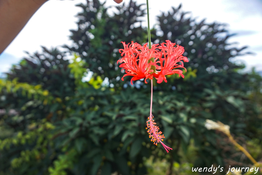 花蓮瑞穗｜充滿人情味的「歸園田居」民宿，體驗清幽的田園生活