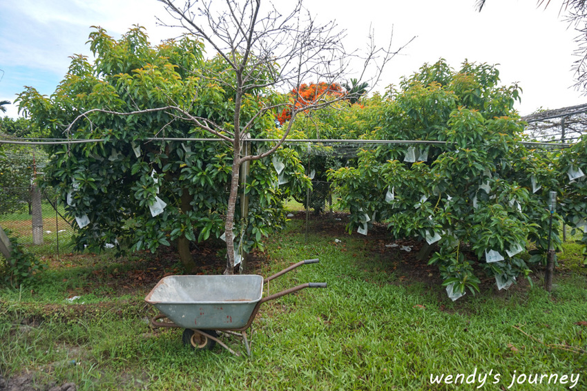 花蓮瑞穗｜充滿人情味的「歸園田居」民宿，體驗清幽的田園生活