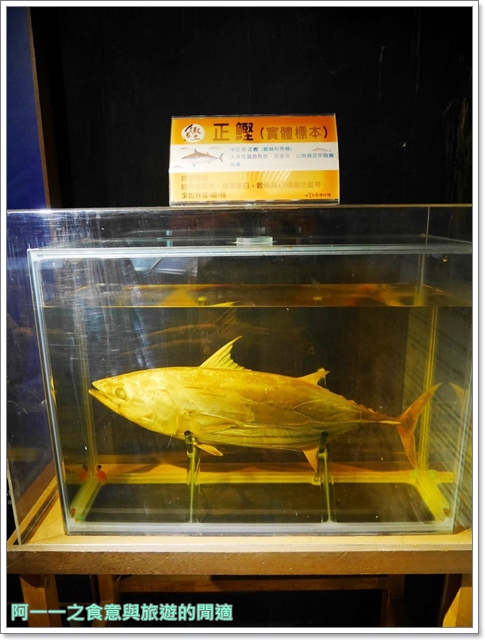 七星柴魚博物館：花蓮 七星柴魚博物館～超好拍 Q版漁村