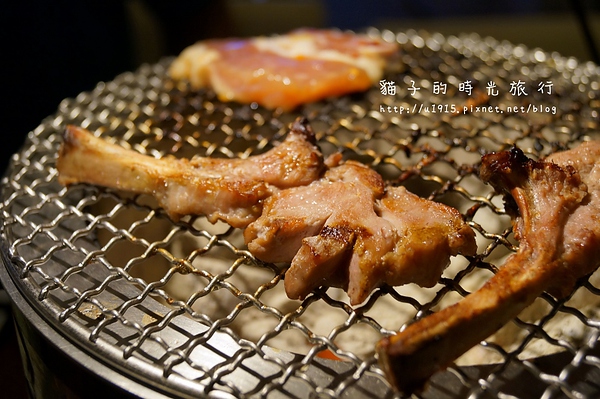 DSC00091 (800x532) DSC00091 (800x532)