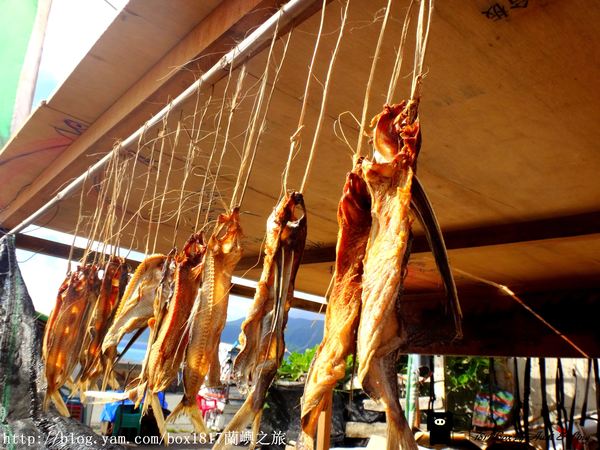 【跳島。蘭嶼】曬飛魚。當飛魚乾遇到拼板舟