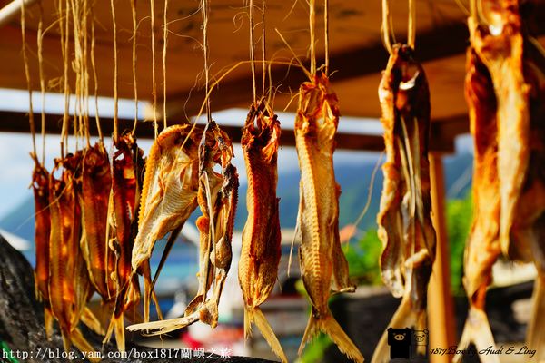 【跳島。蘭嶼】曬飛魚。當飛魚乾遇到拼板舟
