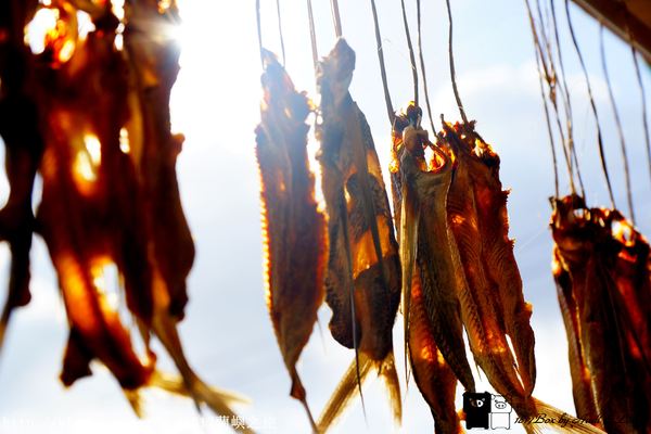 【跳島。蘭嶼】曬飛魚。當飛魚乾遇到拼板舟