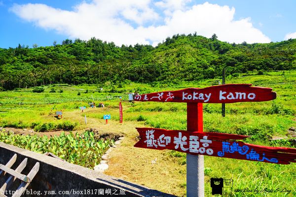 【跳島。蘭嶼】蘭嶼芋人。芋森林體驗公園