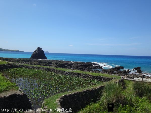 【跳島。蘭嶼】蘭嶼芋人。芋森林體驗公園