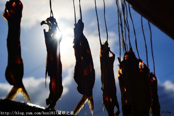 【跳島。蘭嶼】曬飛魚。當飛魚乾遇到拼板舟