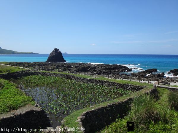 【跳島。蘭嶼】蘭嶼芋人。芋森林體驗公園