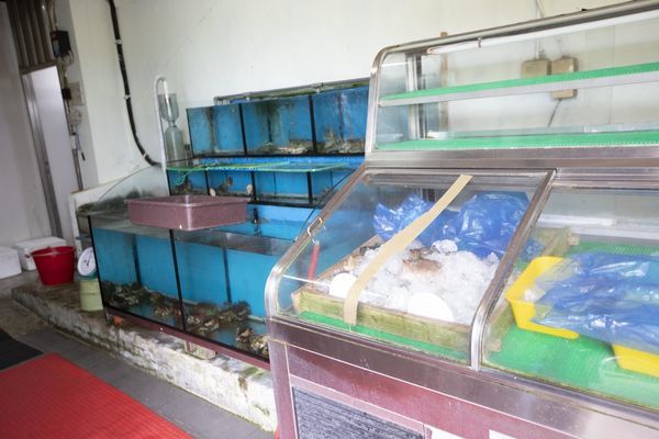 三芝興隆海產 - 17