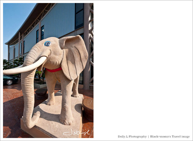 太保│品皇咖啡觀光工廠‧巨人的摩卡壺