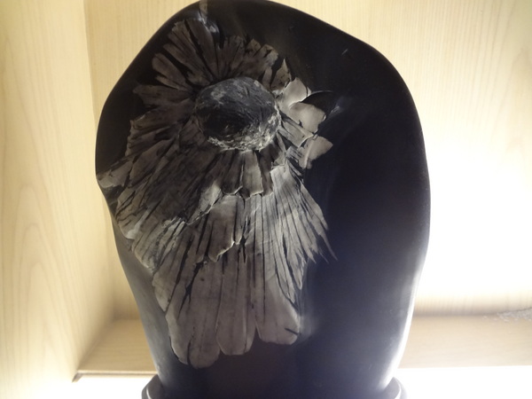 西納小街：1020711[官本金文愛台灣]西納小街與可愛的小熊來到童話般世界在彩虹步道上一起用餐