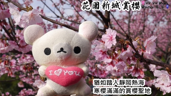 花園新城：【新北◍•ᴗ•◍新店】捷運新店站✯賞櫻景點・花園新城賞櫻｜猶如踏入靜岡熱海，寒櫻滿滿的賞櫻聖地